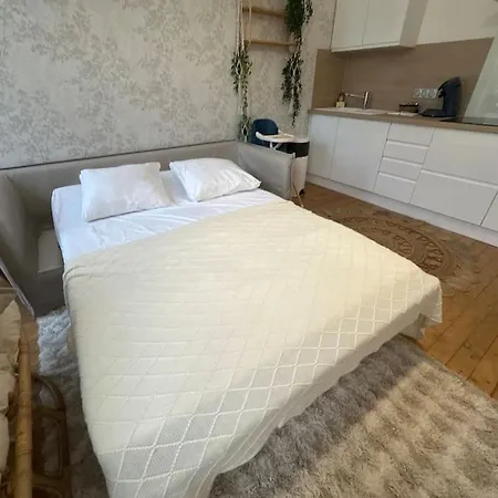 Apartment Printemps T2 Cosy Avec Sauna Proche Centre-ville Reims